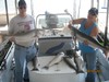 (08/08/2011) - Nice Striped Bass