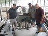 (08/11/2011) - Nice Striped Bass