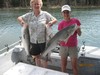 (08/12/2011) - Nice Striped Bass