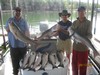 (08/13/2011) - Nice Striped Bass