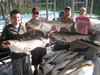(08/14/2011) - Nice Striped Bass