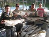 (08/14/2011) - Nice Striped Bass