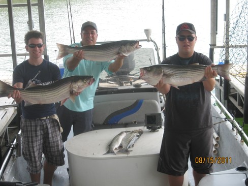 Nice Striped Bass