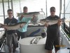 (08/15/2011) - Nice Striped Bass