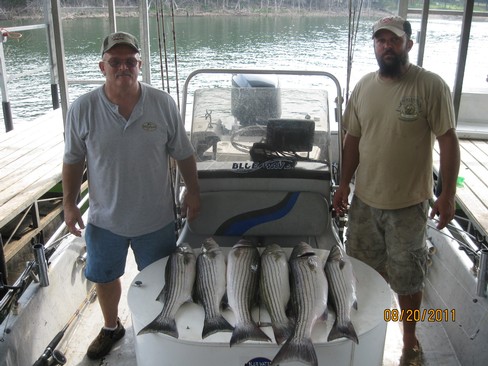 Nice Striped Bass