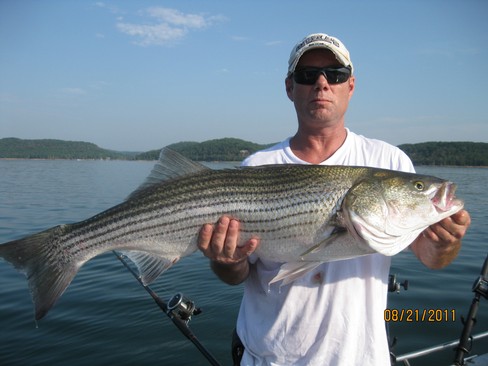 Nice Striped Bass