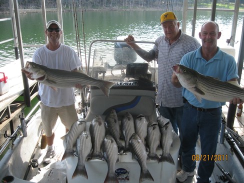 Nice Striped Bass