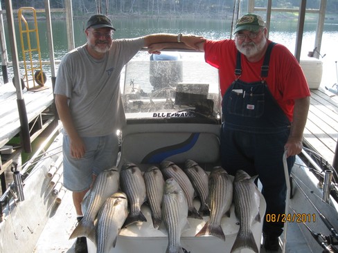 Nice Striped Bass