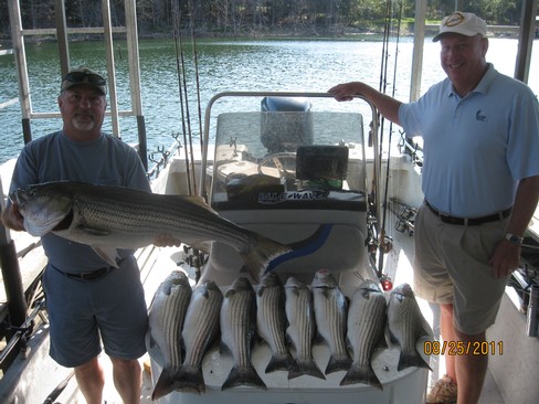 Nice Striped Bass