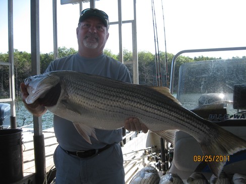 Nice Striped Bass