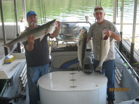 Nice Striped Bass
