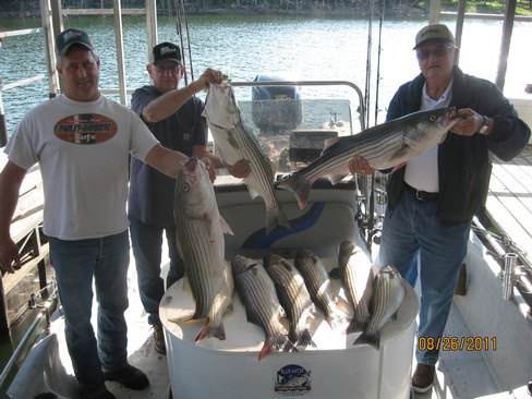 Nice Striped Bass
