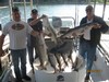 (08/26/2011) - Nice Striped Bass