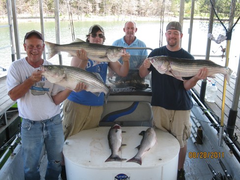 Nice Striped Bass