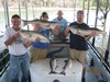 (08/28/2011) - Nice Striped Bass