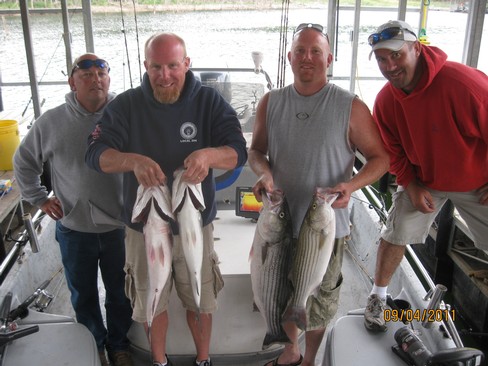 Nice Striped Bass