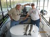 (09/20/2011) - Nice Striped Bass