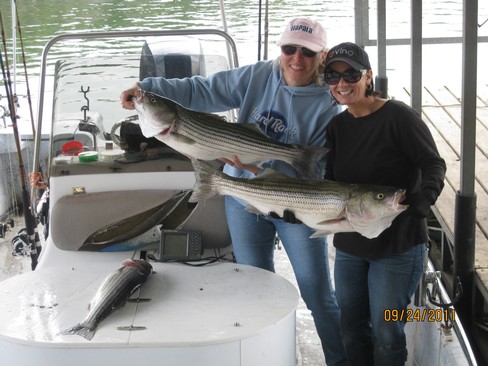 Nice Striped Bass