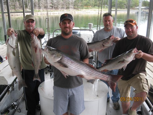 Nice Striped Bass