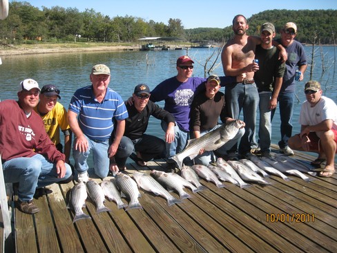 Nice Striped Bass