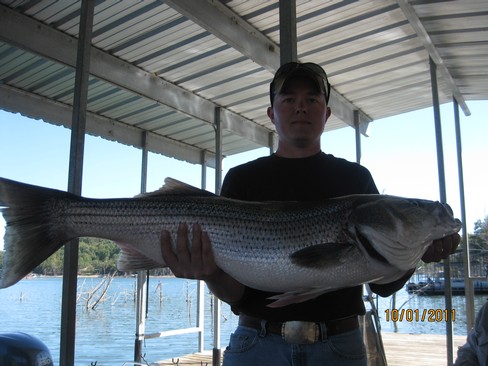 Nice Striped Bass