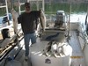 (10/06/2011) - Nice Striped Bass