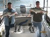 (10/09/2011) - Nice Striped Bass