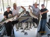 (10/16/2011) - Nice Striped Bass