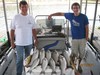 (10/17/2011) - Nice Striped Bass