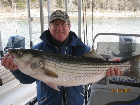 Nice Striped Bass