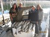 (10/22/2011) - Nice Striped Bass