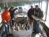 (10/23/2011) - Nice Striped Bass
