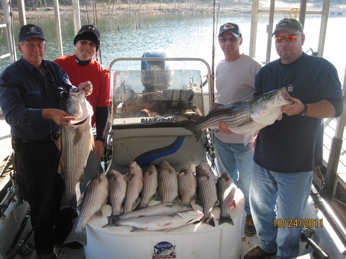 Nice Striped Bass