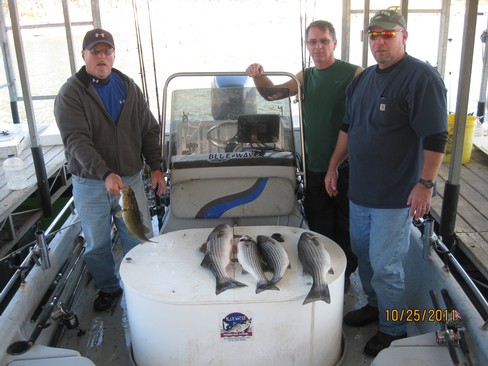 Nice Striped Bass