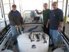 (10/25/2011) - Nice Striped Bass