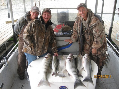 Nice Striped Bass
