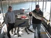 (10/28/2011) - Nice Striped Bass