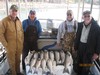 (10/28/2011) - Nice Striped Bass