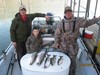 (10/29/2011) - Nice Striped Bass