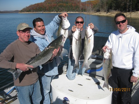 Nice Striped Bass