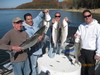 (11/04/2011) - Nice Striped Bass