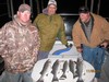 (11/05/2011) - Nice Striped Bass