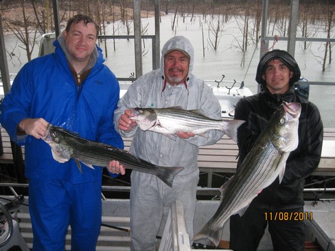 Nice Striped Bass