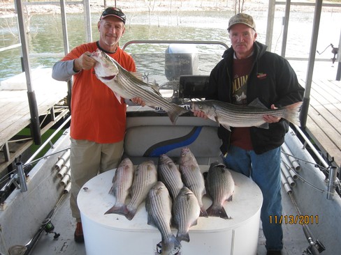 Nice Striped Bass
