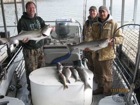 Nice Striped Bass