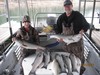 (11/21/2011) - Nice Striped Bass