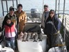 (11/25/2011) - Nice Striped Bass