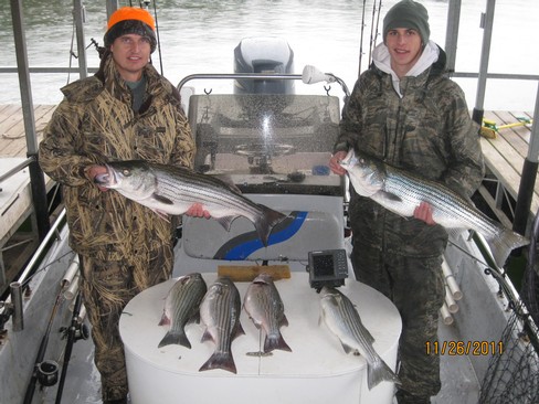 Nice Striped Bass