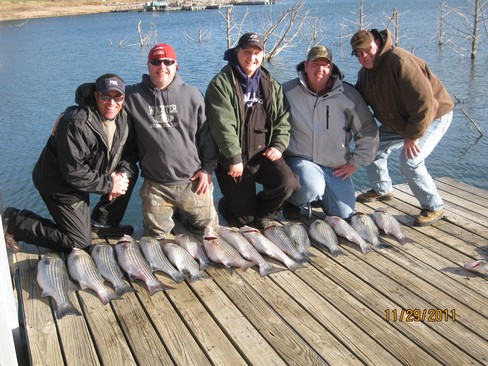 Nice Striped Bass