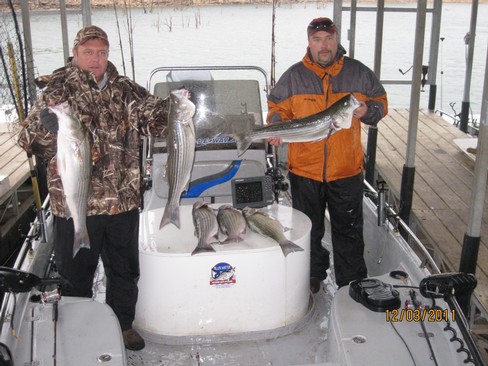 Nice Striped Bass